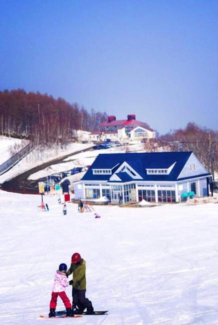 Sapporo Luxury Log House 5Brm Max 18Ppl 4 Free Parking Villa Dış mekan fotoğraf